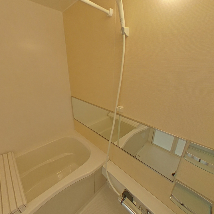 セレーネTMの画像