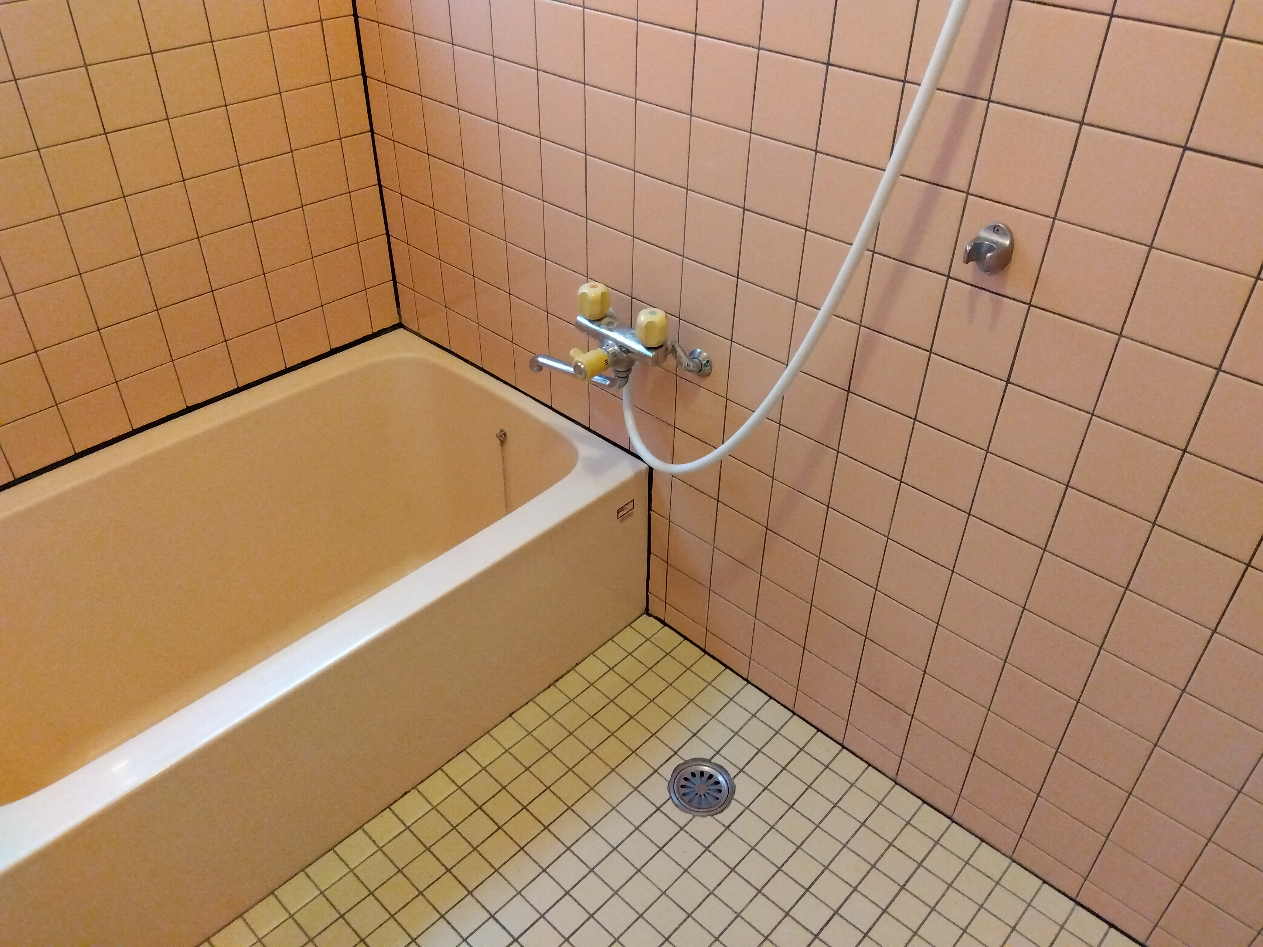 東1丁目戸建の風呂