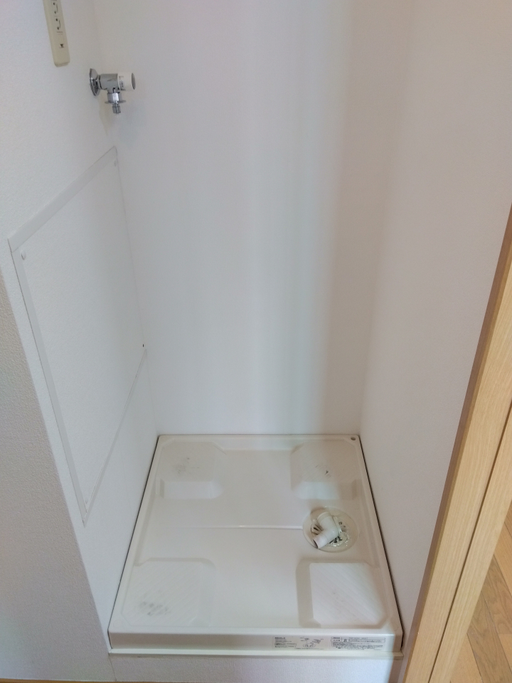 エヴァーグリーンの洗面所