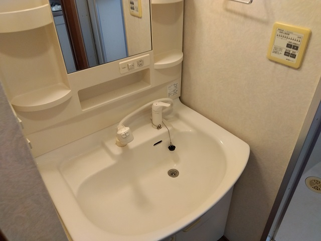 チェスナッツの洗面所