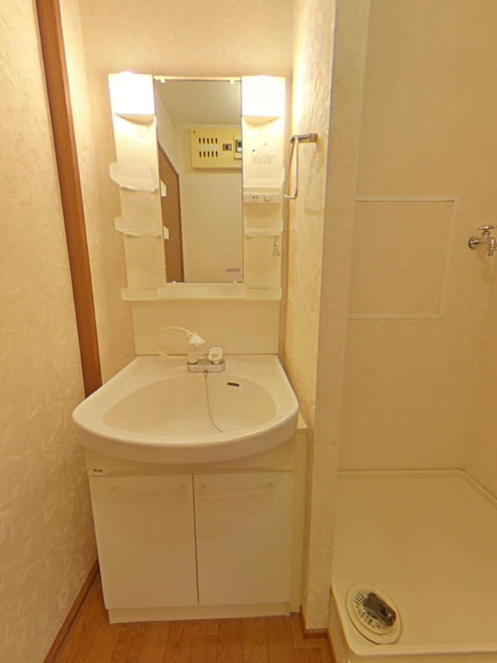 コーポ南Ⅱの洗面所