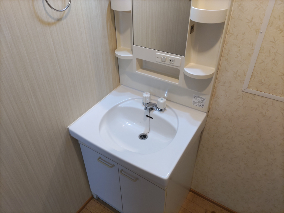 レジデンスティアラの洗面所