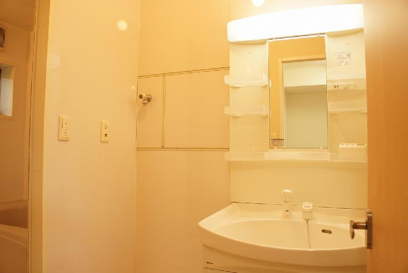 ハイム安樹の洗面所