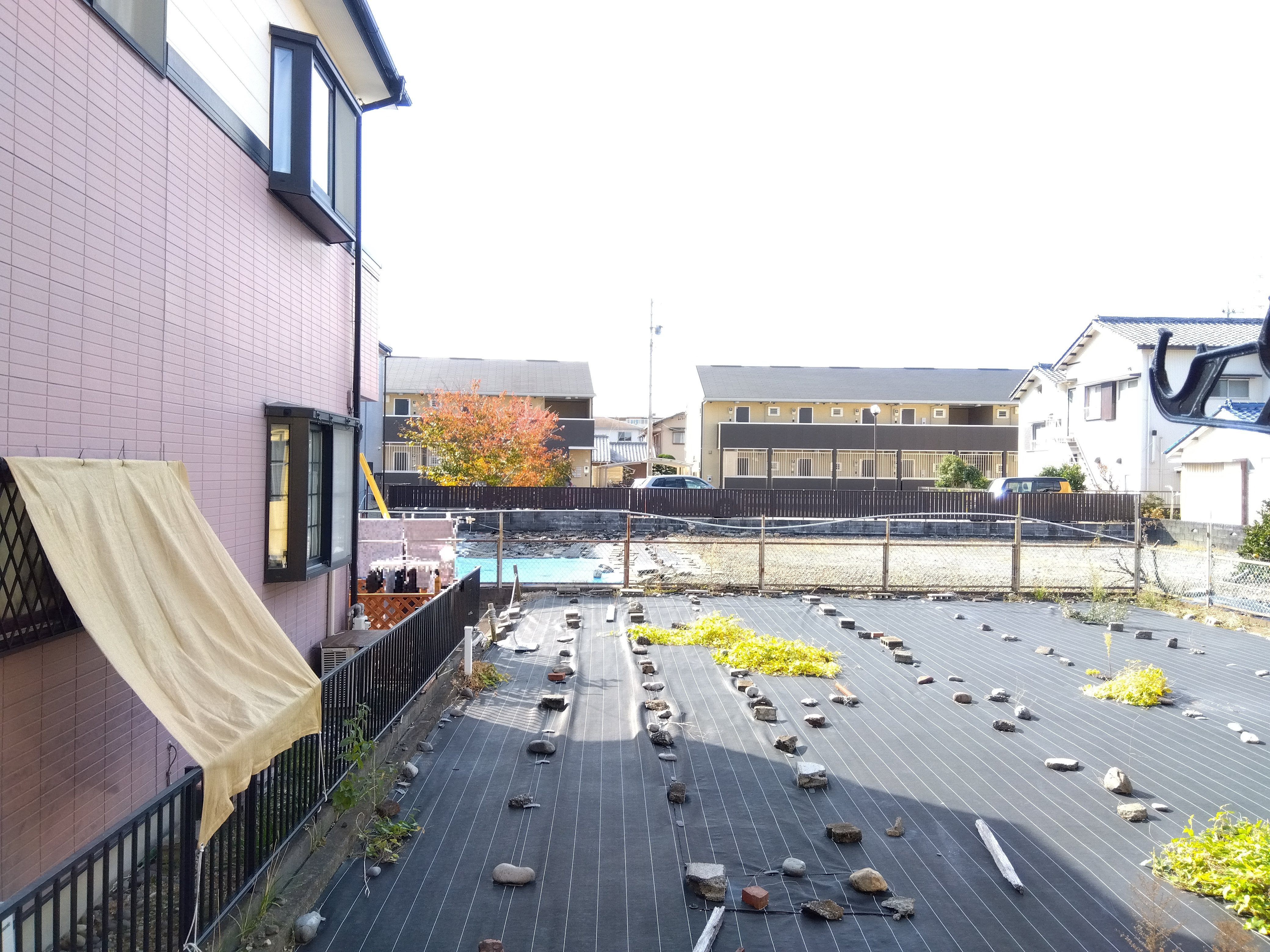 フェニックスの眺望