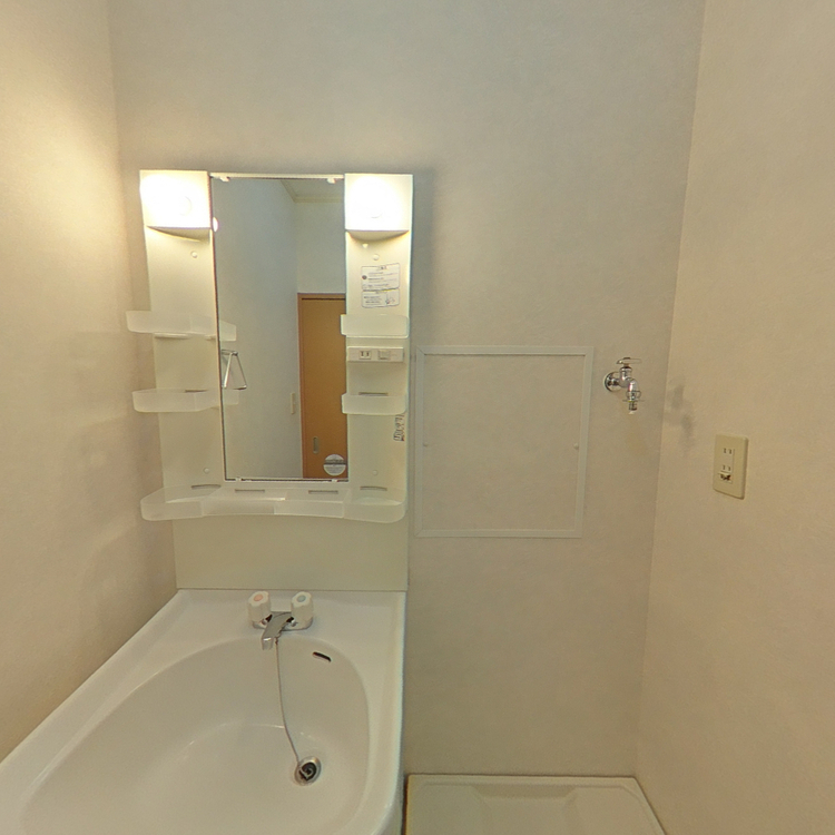 グリーンハイツNAOの洗面所