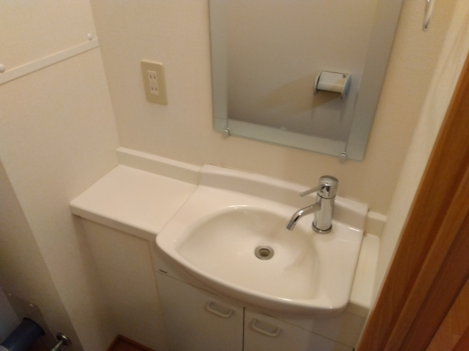 ハイム川原の洗面所