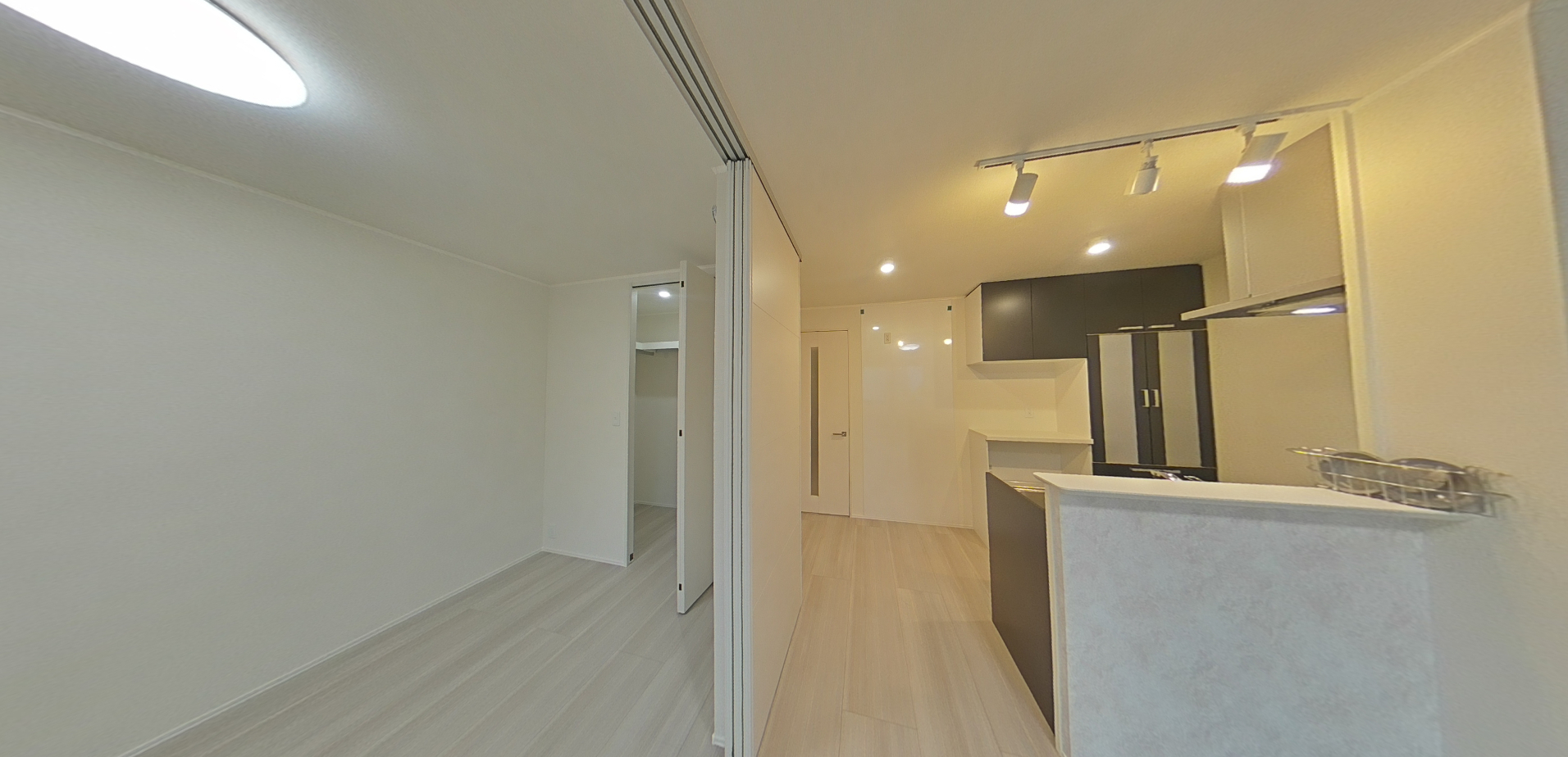 セレーネTMの画像