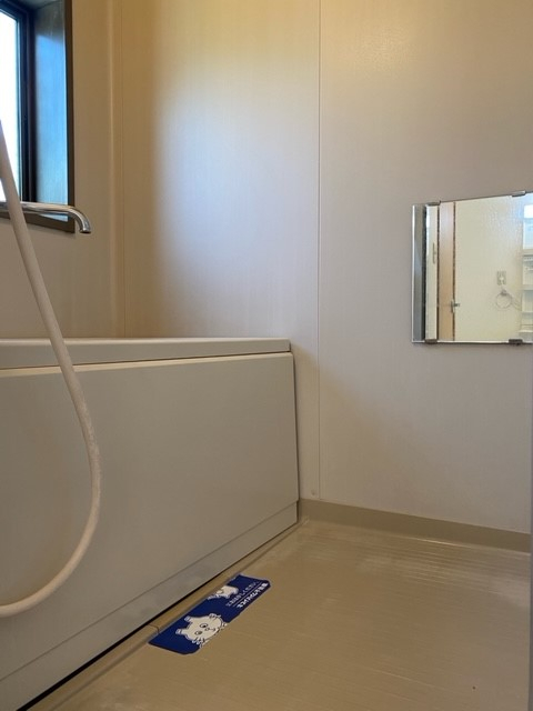 花水木の画像