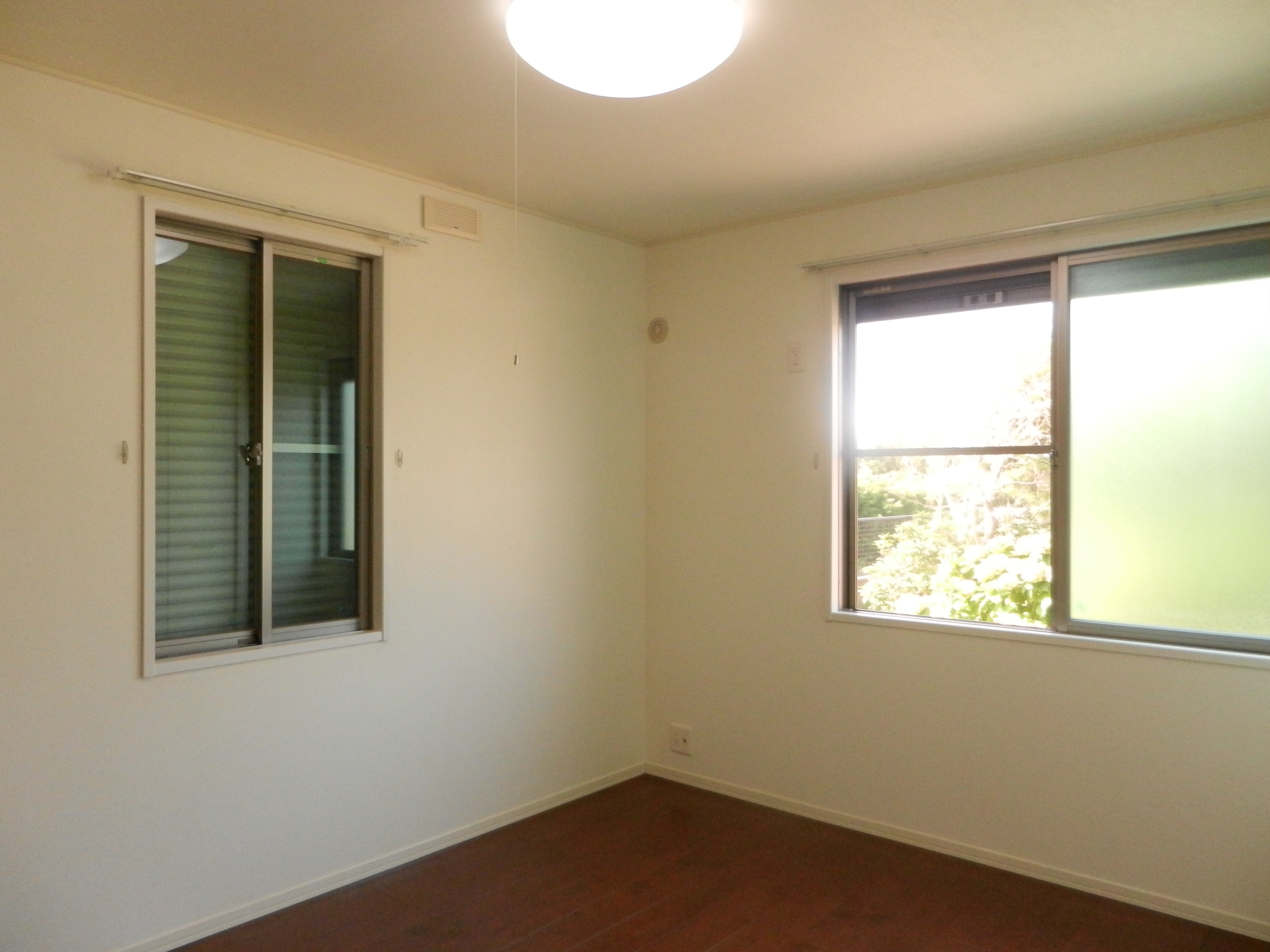 フローラマスイの画像