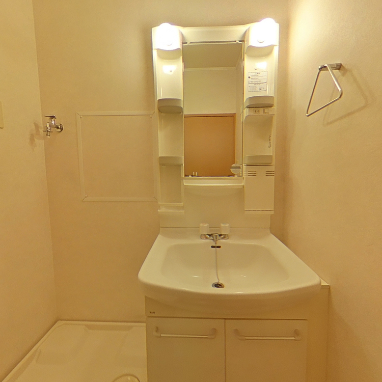 エストレイアBの洗面所