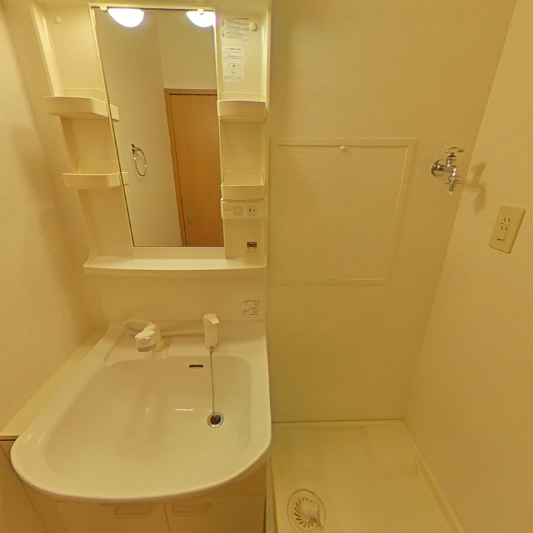 ベルハイムAの洗面所