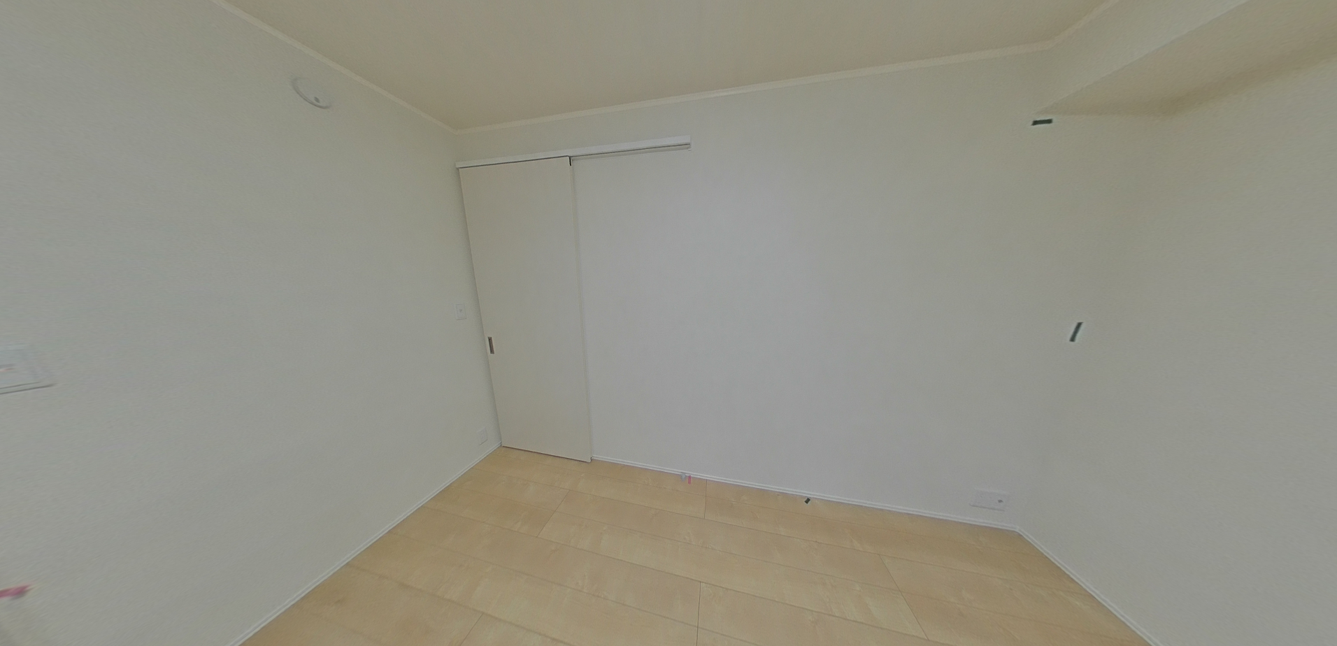 セレーネTMの画像