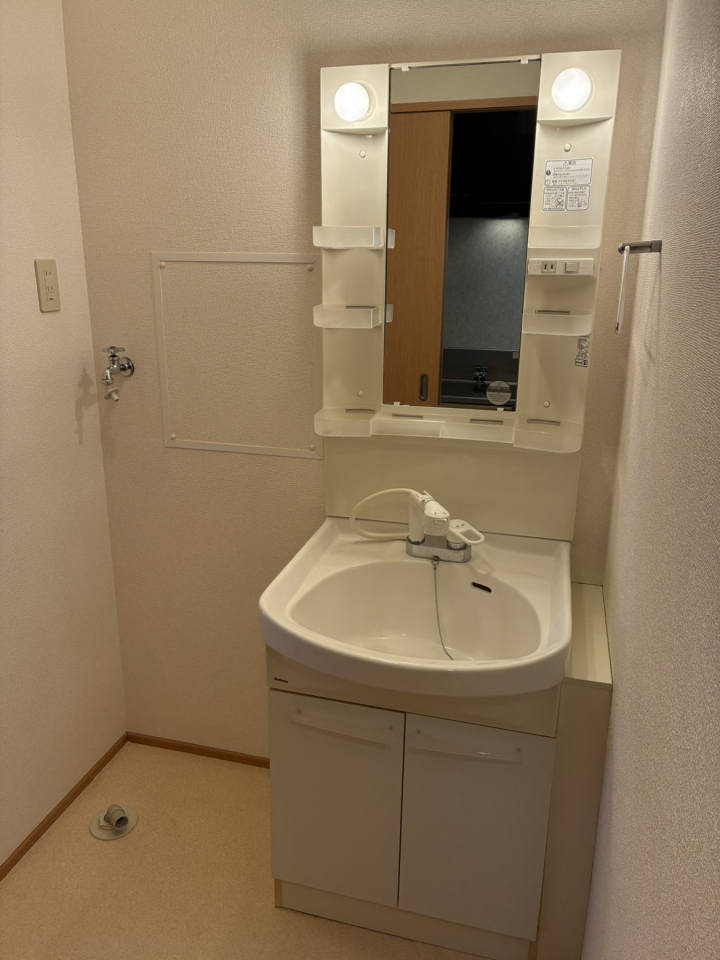 メゾン彩の洗面所