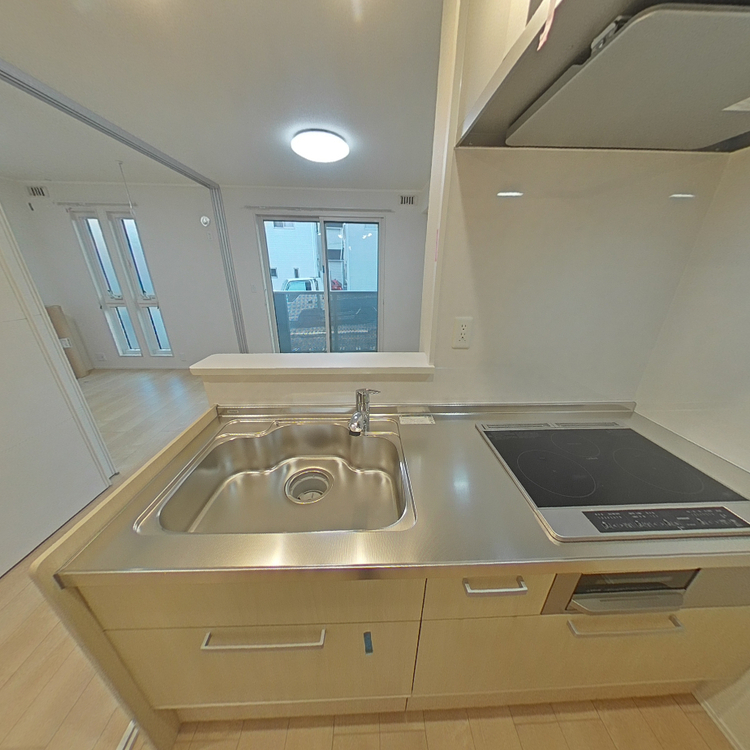 セレーネTMの画像