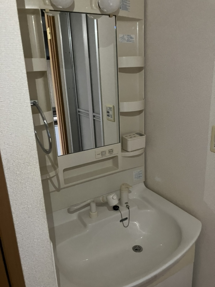 コーストヴィレッジⅠの洗面所