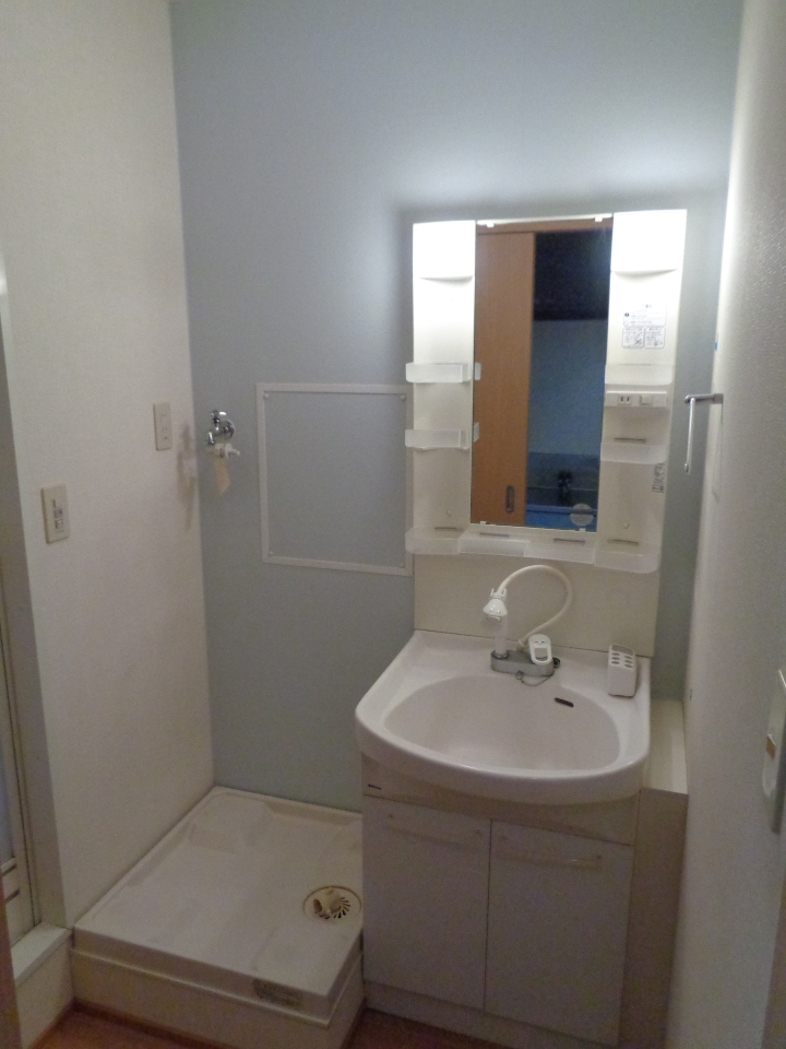 メゾン彩の洗面所