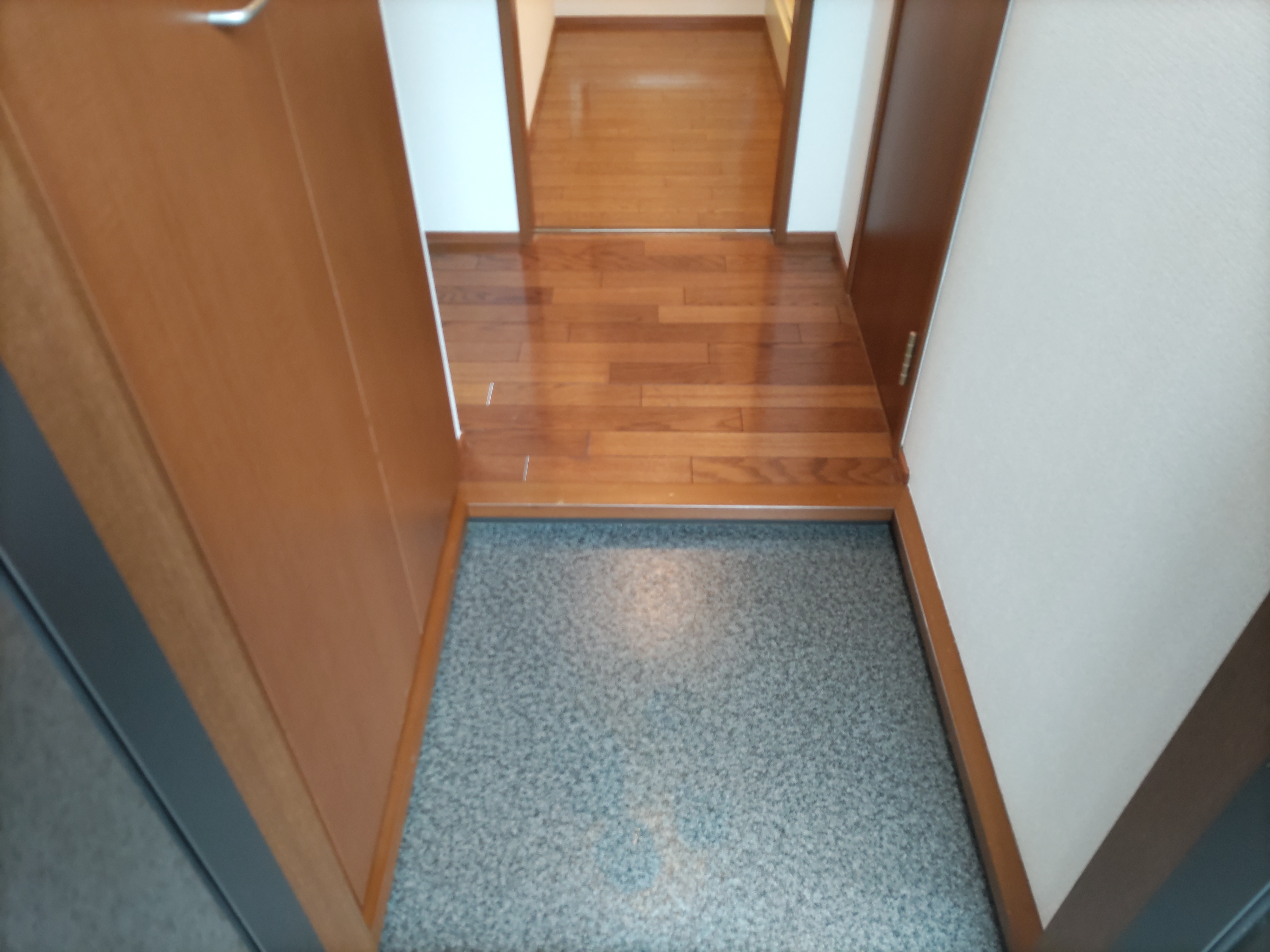 パルテールの玄関