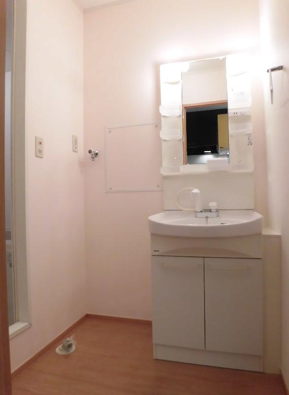 メゾンカナメの洗面所