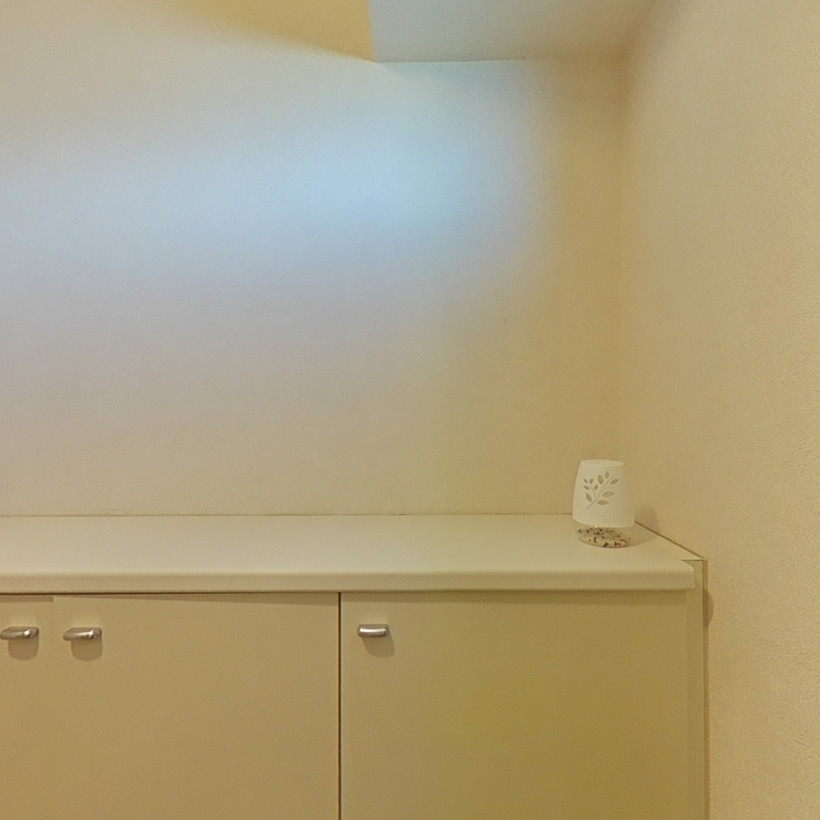 エスコートの画像