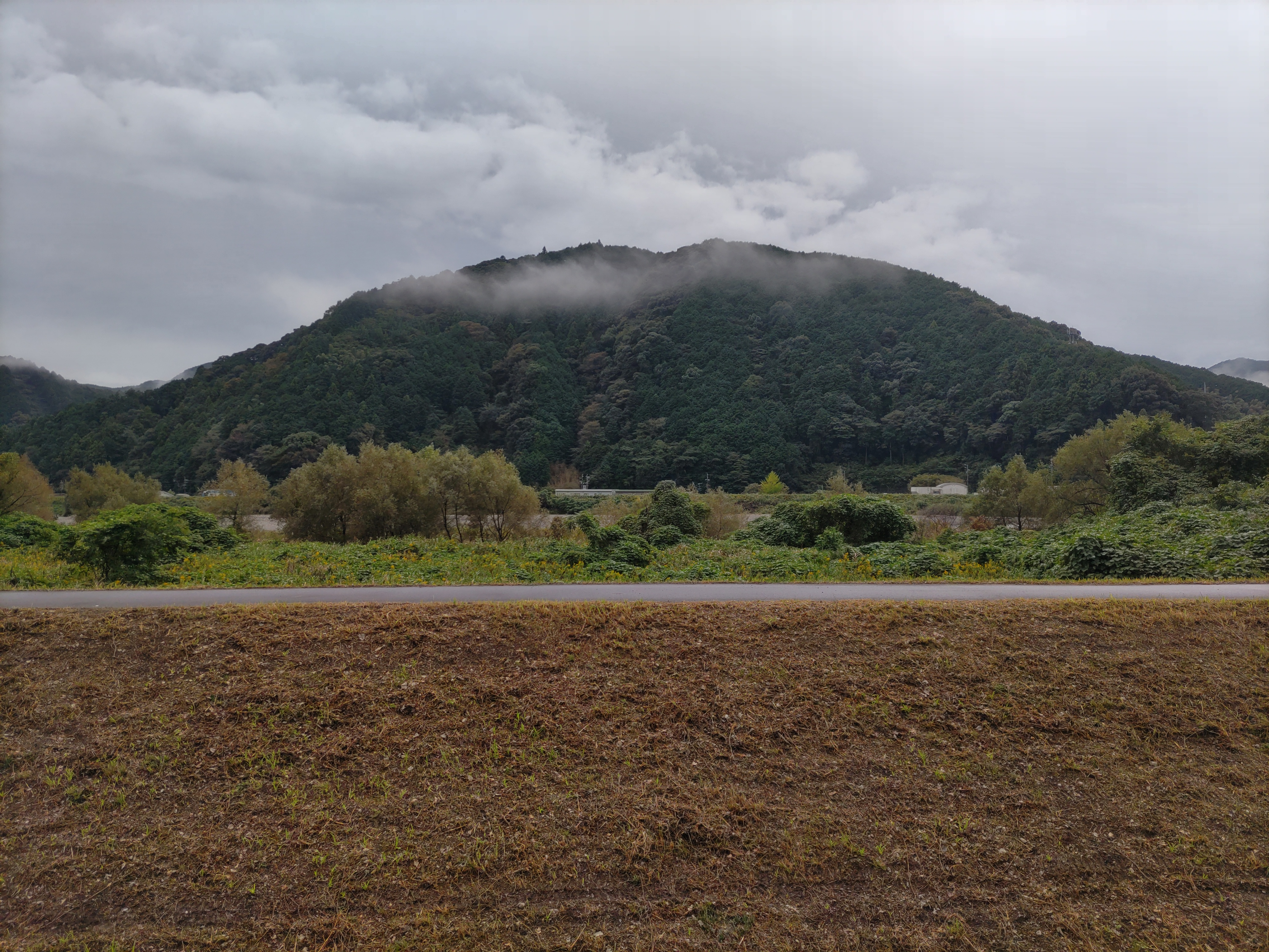 パルテールの眺望