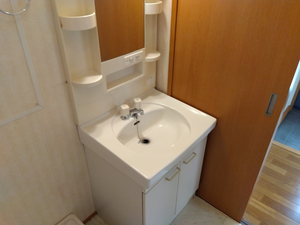 大岩B4の洗面所