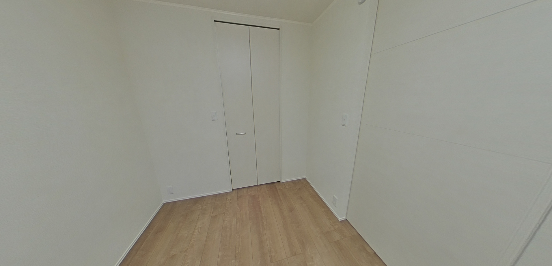 セレーネTMの画像