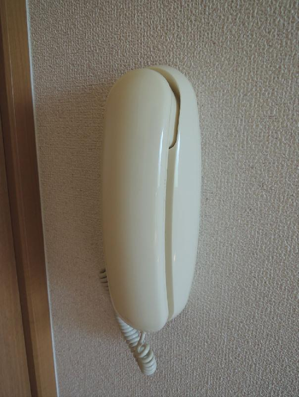 ピアチェーレ　インターホン