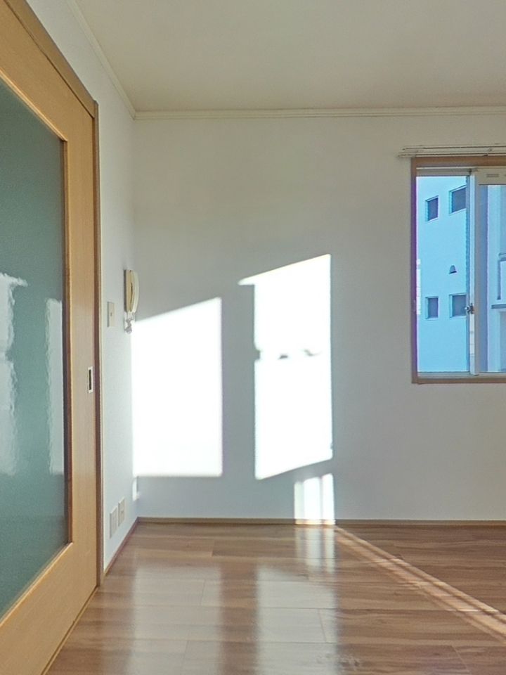 ローダンセのリビング