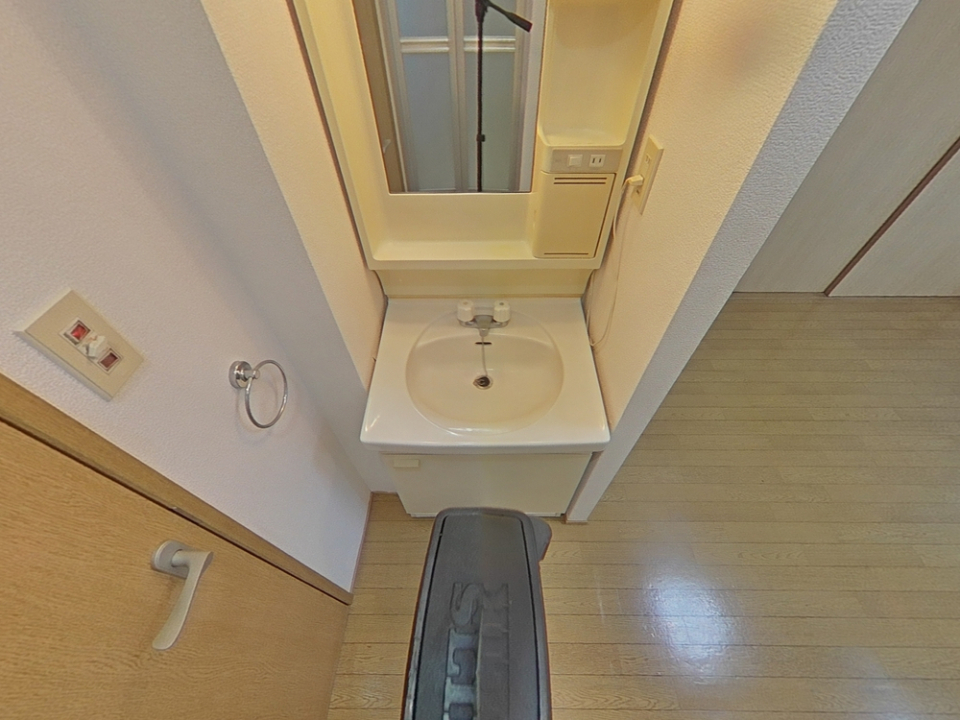 シェモアAの洗面所