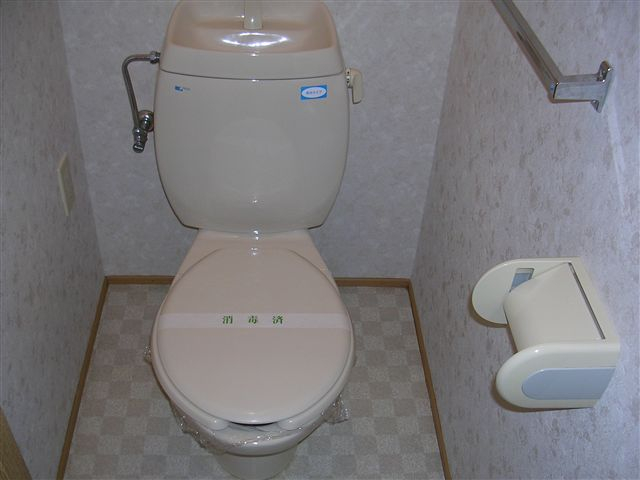 メゾン雅野のトイレ