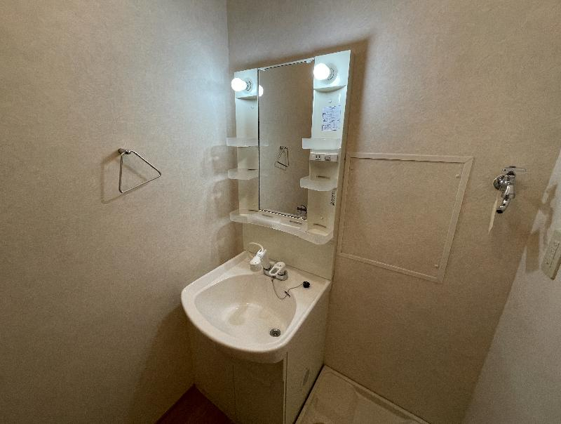 ロイヤル宝田の洗面所